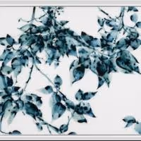 Kenise Barnes Fine Art Opens 'HOW IT LOOKS THROUGH OTHER PEOPLE'S EYES' Exhibition…