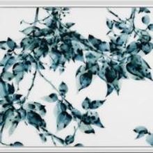 Kenise Barnes Fine Art Opens 'HOW IT LOOKS THROUGH OTHER PEOPLE'S EYES' Exhibition…