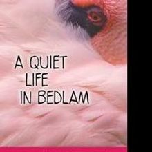 Patricia Bjornstad Releases Romance Thriller, A QUIET LIFE IN BEDLAM
