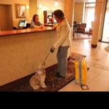 New Glenwood Springs Store Adds to Pet-Friendly Atmosphere of Colorado...