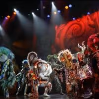 Cirque Dreams' JUNGLE FANTASY Comes to the Broward Center, 7/22-27