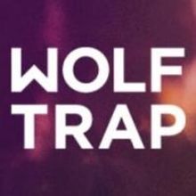'OK Glass, Get Opera': Wolf Trap Introduces New Titling Technology at CARMEN…