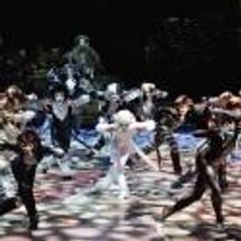 BWW Reviews: CATS in Köln