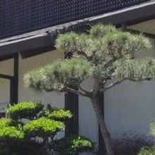 The Douglas Morrisson Theatre Announces TIMES STANDS STILL Reading, 4/2