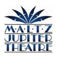 Maltz Jupiter Theatre to Present OTHER DESERT CITIES, 2/16-3/2