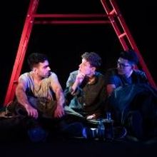 BWW Reviews: BACK DOWN, Birmingham Rep Theatre, March 2 2015
