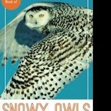 A PICTURE BOOK OF SNOWY OWLS by Bryan Shane with Poetic Verses From Patricia Lafferty