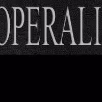 Judges and Contestants Announced for Plácido Domingo's OPERALIA This Summer