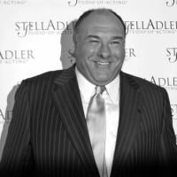 Photo Flash: James Gandolfini at Last Week's Stella By Starlight Gala