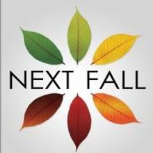 NEXT FALL Plays Lee Street Theatre, Now thru 7/26