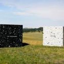 Phoenix Art Museum to Present Halle Collection of Contemporary Latin American Art