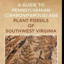 Fossil Plants and Marine Organisms Highlighted in New Book