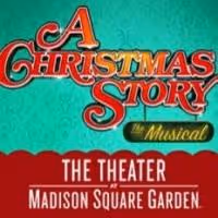 Review Roundup: A CHRISTMAS STORY Returns for Holiday Engagement at Theater at…