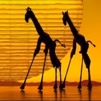 Meet the Current Casts of Broadway's Long Running Hits - THE LION KING