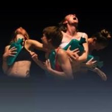 New Dance Work POTENTIAL Set for Northcote Town Hall, 30 September - 5 October