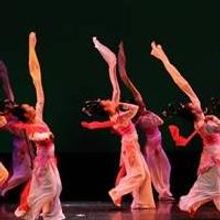 Chinese New Year Gala Night at Sydney Town Hall Set for 23 Feb