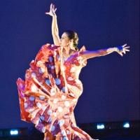 Flamenco & Gypsy Jazz Set for New Year's Eve at El Cid