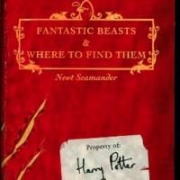 Warner Bros. Expands Partnership with J.K. Rowling; 'Fantastic Beasts and Where to…