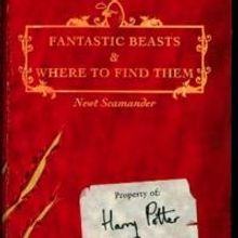 Warner Bros. Expands Partnership with J.K. Rowling; 'Fantastic Beasts and Where to Fi