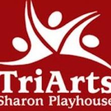 NINE WIVES Runs Now thru 7/27 at TriArts Sharon Playhouse