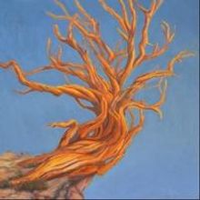 Scott Hale's Oil on Copper Paintings Showcased at Scottsdale's Celebration of Fine…