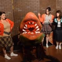 Sewickley AreaTheatre Presents LITTLE SHOP OF HORRORS