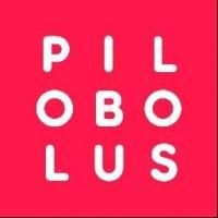 Pilobolus Performs Tonight at 2015 CFA Summer Festival