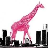Magenta Giraffe Announces 2013-14 Season - SAINT JOAN, LOVE IS STRANGE and More!