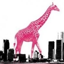 Magenta Giraffe Kicks Off 2013-14 Season - SAINT JOAN, LOVE IS STRANGE and More!