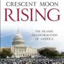 Journalist Paul L. Williams' CRESCENT MOON RISING Examines Rise of Islam in America