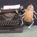 Mettawee River Theatre Company Presents COMMUNICATIONS FROM A COCKROACH, 9/7-16