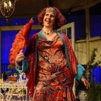 Photo Flash: First Look at 2nd Story Theatre's HAY FEVER Starring Joanne Fayan, John…