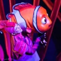 Skip the Coasters- Watch a Theme Park Performance Roundup! Video