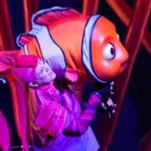 Skip the Coasters- Watch a Theme Park Performance Roundup!