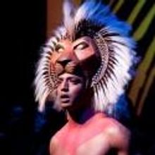 London's Best-Selling Musical, THE LION KING, Enters 14th Year at Lyceum