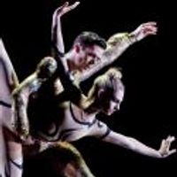 BWW Reviews: Houston Ballet's WOMEN@ART is Exquisite and Engaging Photo