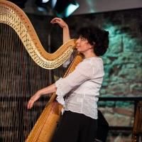 BWW Reviews: A SCORE TO SETTLE with Rita Costanzi Photo