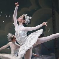The National Ballet of Canada Announces 2014-2015 Season and Touring Schedule
