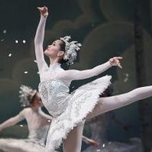 The National Ballet of Canada Announces 2014-2015 Season and Touring Schedule