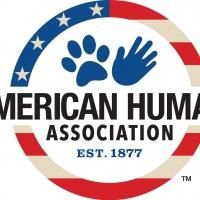 225 Dogs Rescued In Dramatic Multi-State Dogfighting Raids