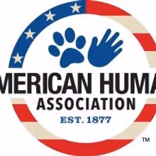 225 Dogs Rescued In Dramatic Multi-State Dogfighting Raids