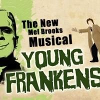 BWW Interviews: YOUNG FRANKENSTEIN Set to Open at the Apollo Civic Theater