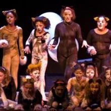 High School in the Spotlight: Brighton Central School District , NY