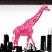 Magenta Giraffe Theatre Company Seeks Board of Directors Applications