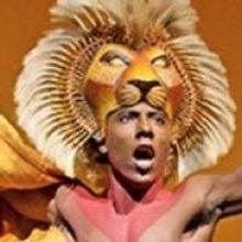 Stars of THE LION KING on Broadway Lose Homes in Fire, GoFundMe Started in Their…