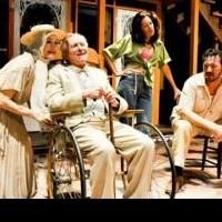 BWW Reviews: THE NIGHT OF THE IGUANA Opens at the Metropolitan Ensemble Theatre in…