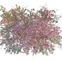 Jennifer Steinkamp Exhibit at Lehmann Maupin Hong Kong to Open 2/13