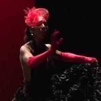 BWW Reviews: Art Imitates Life in THE LOOK OF FEELING