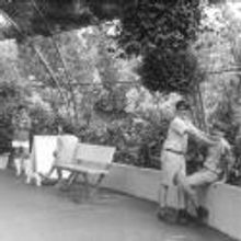 Cumberland County Playhouse to Present FOOTLOOSE, 2/1-24