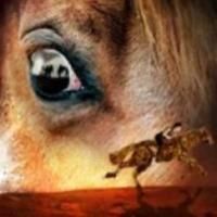 Tickets to WAR HORSE at Hobby Center Now On Sale